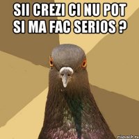 sii crezi ci nu pot si ma fac serios ? 