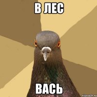 В ЛЕС ВАСЬ