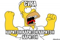 сука харитон харитон харитон харитон