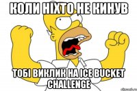 Коли ніхто не кинув Тобі виклик на Ісе Bucket Challenge