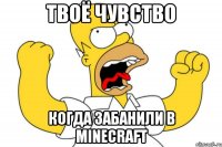 твоё чувство когда забанили в minecraft