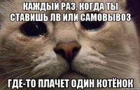 каждый раз, когда ты ставишь ЛВ или самовывоз где-то плачет один котёнок