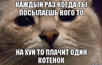 Каждый раз когда ты посылаешь кого то На хуй то плачит один котенок