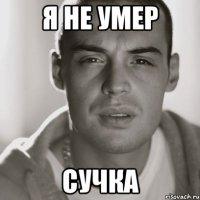 Я не умер Сучка