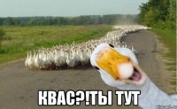  Квас?!ты тут