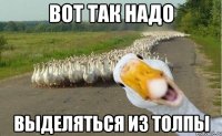 вот так надо выделяться из толпы