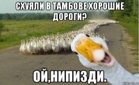 схуяли в Тамбове хорошие дороги? ой,нипизди.