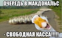 Очередь в макдональс - Свободная касса!!!!!