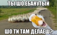 Ты шо ебанутый шо ти там делаеш?