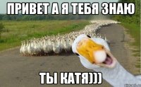 привет а я тебя знаю ты катя)))