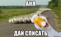 Аня дай списать