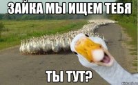 Зайка мы ищем тебя ты тут?