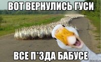 Вот вернулись гуси все п*зда бабусе