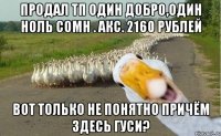 Продал ТП один добро,один ноль сомн . Акс. 2160 рублей Вот только не понятно причём здесь гуси?