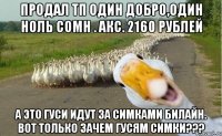 Продал ТП один добро,один ноль сомн . Акс. 2160 рублей А это гуси идут за симками билайн. Вот только зачем гусям симки???