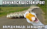 Кончился шестой урок! Вперёд к победе, за вещами!!!