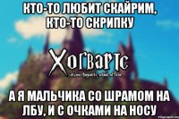 Кто-то любит Скайрим, кто-то скрипку а я мальчика со шрамом на лбу, и с очками на носу