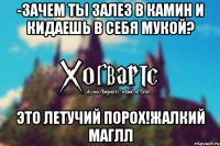 -Зачем ты залез в камин и кидаешь в себя мукой? Это летучий порох!Жалкий маглл