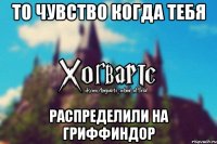 То чувство когда тебя распределили на Гриффиндор