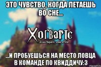 Это чувство, когда летаешь во сне... ...и пробуешься на место ловца в команде по Квиддичу:3