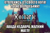 Отвлекись от своего хога! ты не волшебник! АВАДА КЕДАВРА, жалкий магл!