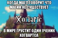 Когда магл говорит что магии не существует в мире грустит один ученик хогвартса