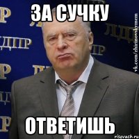 За сучку Ответишь