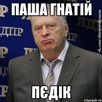 Паша Гнатій ПЄДІК