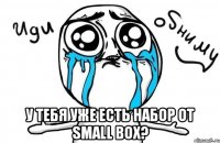  У ТЕБЯ УЖЕ ЕСТЬ НАБОР ОТ Small Box?