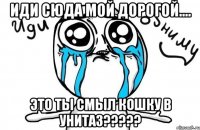 Иди сюда мой дорогой.... Это ты смыл кошку в унитаз?????