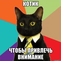 котик чтобы привлечь внимание