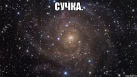 Сучка. 