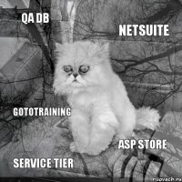 QA DB Netsuite Service Tier ASP Store GoToTraining