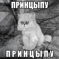 ПРИНЦЫПУ П Р И Н Ц Ы П У