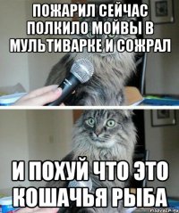 пожарил сейчас полкило мойвы в мультиварке и сожрал и похуй что это кошачья рыба