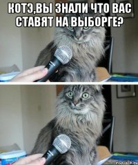 КОТЭ,вы знали что вас ставят на Выборге? 