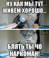 Ну как мы тут живём хорошо... БЛЯТЬ ТЫ ЧО НАРКОМАН!