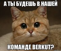 А ты будешь в нашей команде BERKUT?