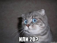  или 20?