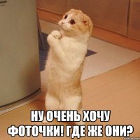  ну очень хочу фоточки! где же они?