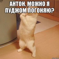 Антон, можно я пуджом погоняю? 