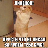 Лисёнок! Пррсти,что не писал за рулем тебе смс!