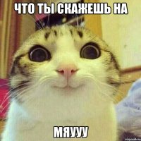 Что ты скажешь на Мяууу