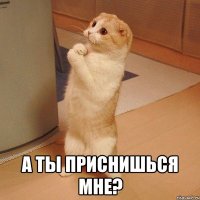  а ты приснишься мне?