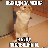 ВЫХОДИ ЗА МЕНЯ? Я буду послышным.