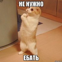 не нужно ебать