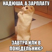 надюша, а зарплату завтра или в понедельник?