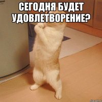 сегодня будет удовлетворение? 