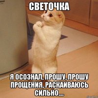 Светочка я осознал, прошу, прошу прощения, раскаиваюсь сильно....