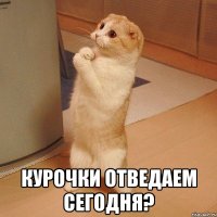  Курочки отведаем сегодня?